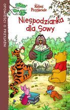 NIESPODZIANKA DLA SOWY OPOWIEŚCI O PRZYJAŹNI TW